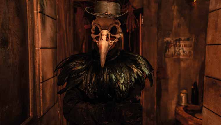 Deep Inside: The Taxidermist (Paris)