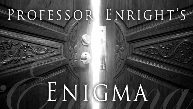 Devon Escape: Professor Enright's Enigma (Newton Abbot)