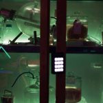 Locked In Edinburgh: The Cutting Room (Edinburgh)